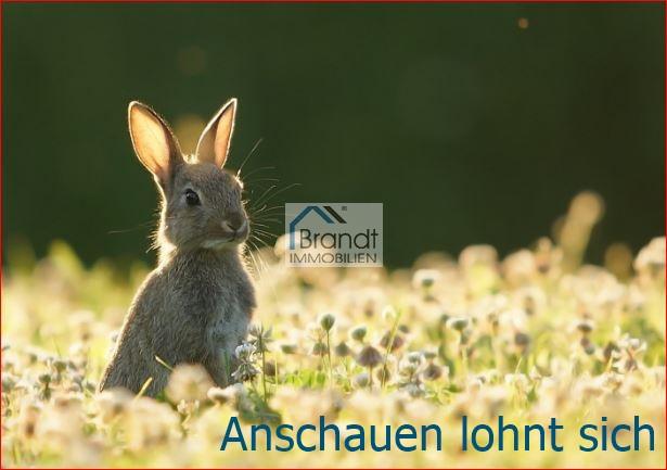 Aber Jetzt - Wunderschön gelegenes ZFH - Bezugsfrei - Preisreduziert !