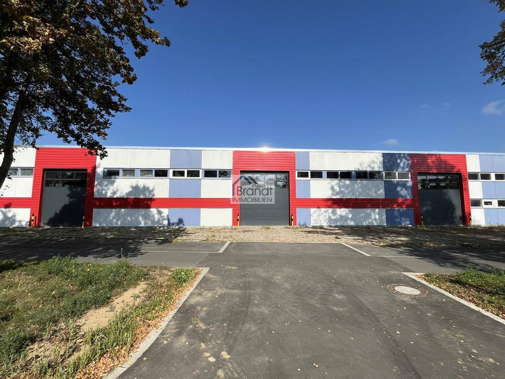 Lagerfläche zentral in Göttingen, 2260 m² mit drei neuen ebenerdigen Toren und eins mit Rampe!